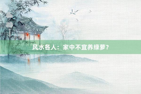 风水各人：家中不宜养绿萝？