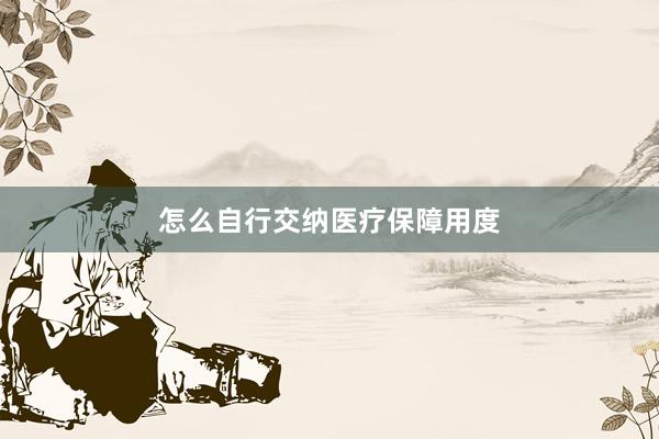 怎么自行交纳医疗保障用度